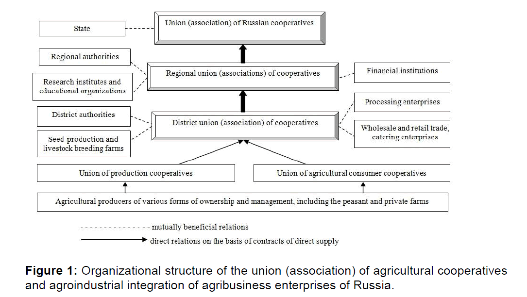 icommercecentral-Organizational-structure