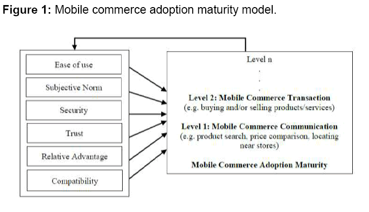 internet-banking-maturity