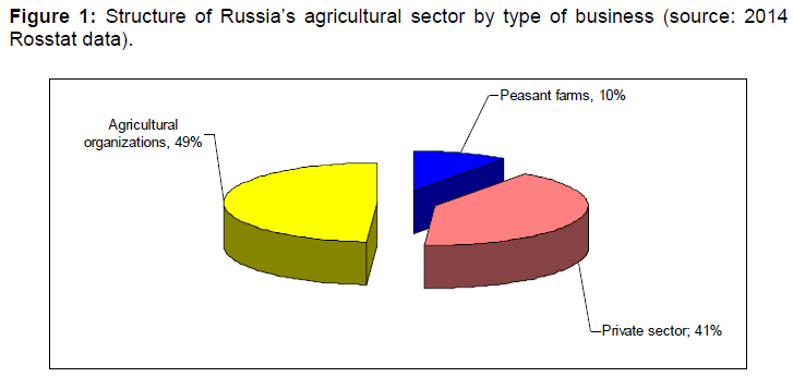 internet-banking-structure-russia-business